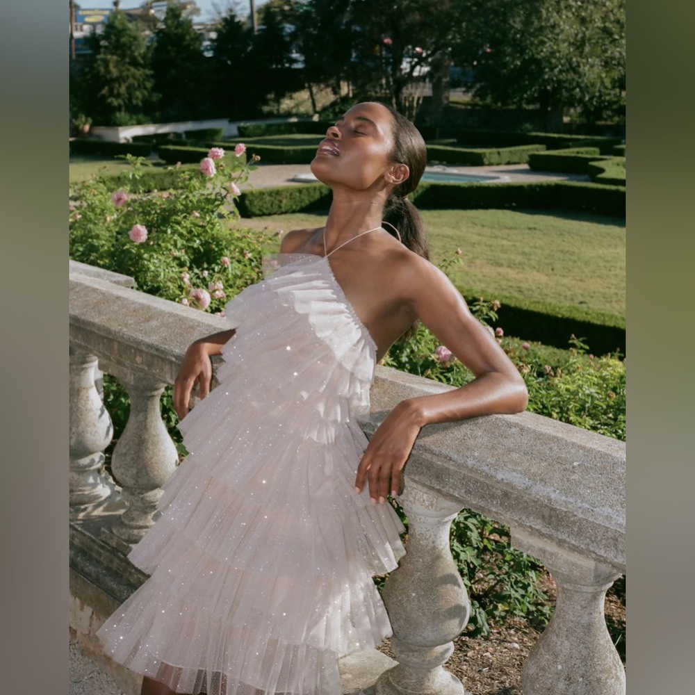 *Brand new and never worn* Kai dress in sparkle nude by The Bar